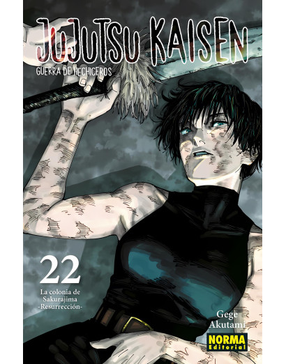 Jujutsu Kaisen 22 (Norma)