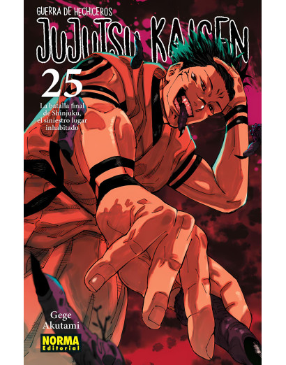 Jujutsu Kaisen 25 (Norma)